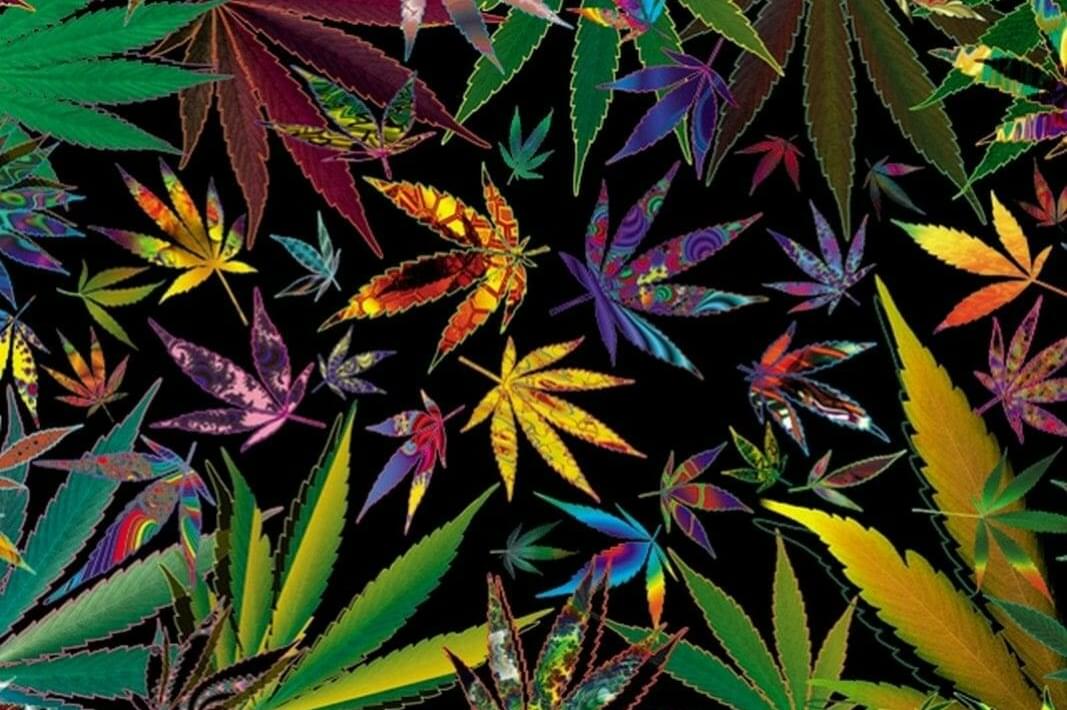 - 1 Oz Topshelf + 1 Oz AAA + Free Oz Shake