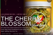 Cherry Blossom Special - 2x half oz Sativa
