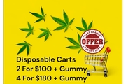 Disposable 2g Carts 4 For $180 + Gummy
