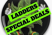 $130 3 half oz ladders special+fre pr rol