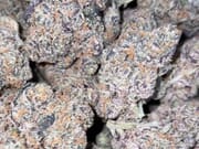 $280 for 2oz exotic + 1oz indoor shake