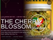 Cherry Blossom - 2x Half Oz