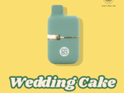 🔥 4 New Flavors 1g Vape| Best Seller