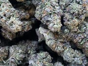 2 Oz AAA 1 oz shake & 1 edible just for $200