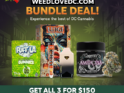 THE POWER TRIO BUNDLE  + 1/4 Infused Indoor S