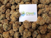 $100 OZ EXOTIC SMALLS 🔥