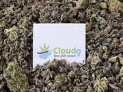 $60 1oz Designer Shake