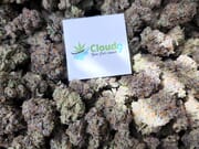 $70 FOR A+  Top Shelf OZ!!