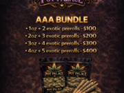 🔥AAA BUNDLE🔥