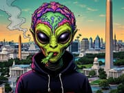 10 2G Dual Chamber Disposable 1/2 GH 1/2 Indo