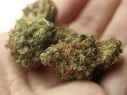 $180 ANY 3 HALF Of AAA + pre rolls