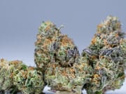 $440 for 4oz A+ and Free 2oz Exotic shake