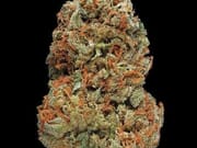 $80 For 2 Quarters A+ & 2 Prerolls Gift