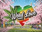 3 Disposables - Limited Time