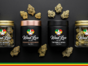 - 1 Oz AAA FLOWER 🍬💨 + 1 Oz SHAKE