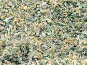 $300 - 7oz oz exotic  shake