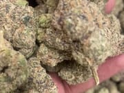 6 Oz top shelf designer $540