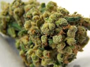 $580 for 6oz top shelf +FREE 2 oz shake