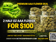 TWO HALF AAA FLOWERS