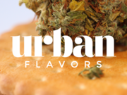 - Buy 2 Oz Flowers, Get 2 Oz Shake FREE!"