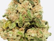 $900 for 7oz A+ and 3oz exotic shake