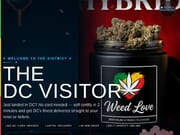 The DC Visitor - FREE Delivery