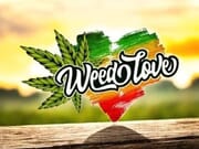 3 EDIBLES for $50!  TODAY ONLY!