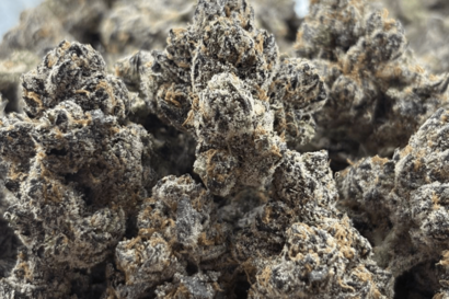 8 Oz EXOTIC INDOORS  + 2 Oz SHAKE