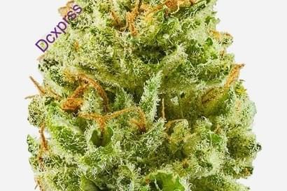 🔥  $340 3oz A+ FRESH CUT FLOWER & gift