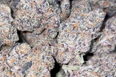 $280 for 2oz exotic + 1oz indoor shake