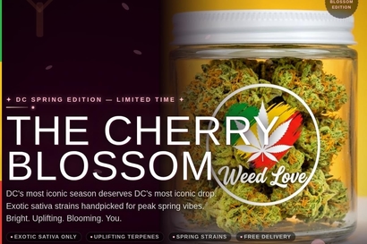 Cherry Blossom Special - 2x half oz Sativa