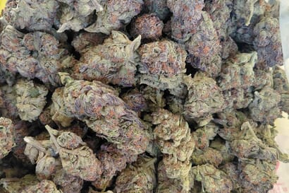2 oz premium Gelato n lemon cherry $120