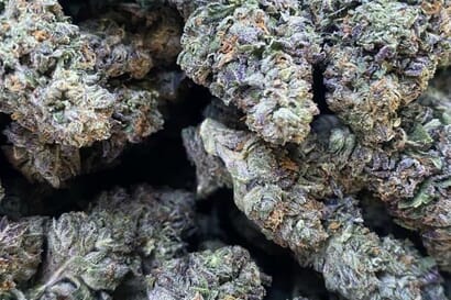 2 Oz AAA 1 oz shake & 1 edible just for $200