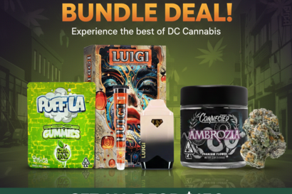 THE POWER TRIO BUNDLE  + 1/4 Infused Indoor S