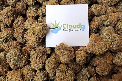 $100 OZ EXOTIC SMALLS 🔥