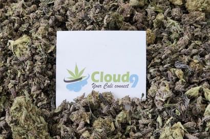 $60 1oz Designer Shake