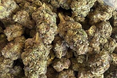 1 Oz top with 1/2 shake just $80