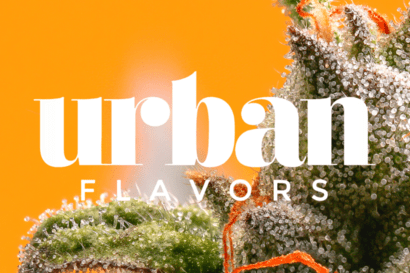 - 4 Oz Mega Gift - 3 Oz Top shelf + 1 Oz Exot