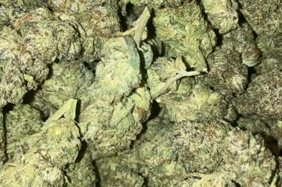 $200 for 2oz top shelf &free 1oz  shake