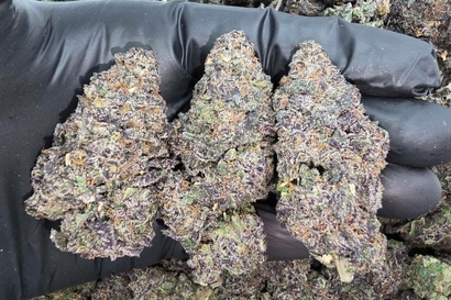 $640 4oz AAA INDOOR EXOTIC ⛽️+ 2oz shake