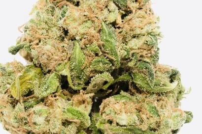 $900 for 7oz A+ and 3oz exotic shake