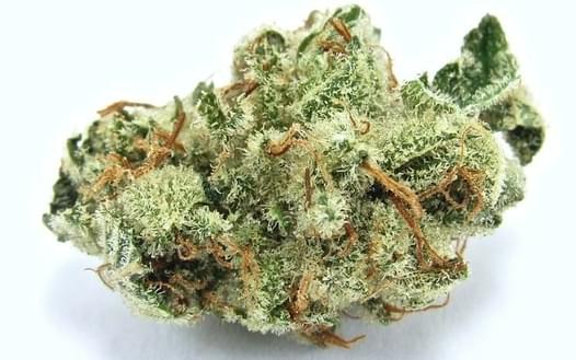 $300 1 OZ Exotic | Flight 420 Marijuana Flower Deals