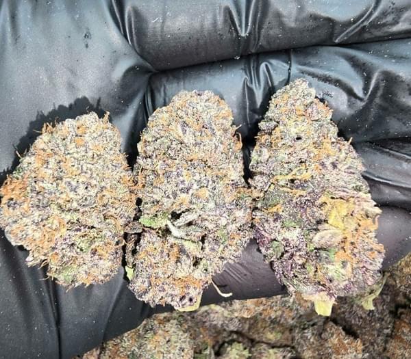 $780 3oz TOPSHELF  +3oz AAA + 3 oz free shak