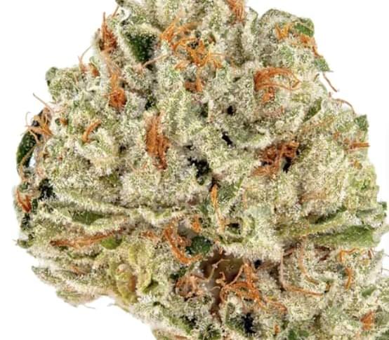 $550 🔥 5oz A+ & 1oz shake + 2 Prerolls