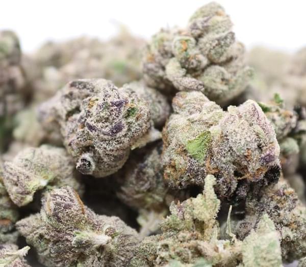 $100 for 2 quarter exotics & 2 free prerolls