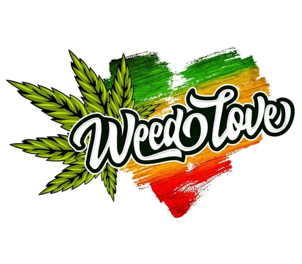 All Disposables - Buy One Get One 50% OFF