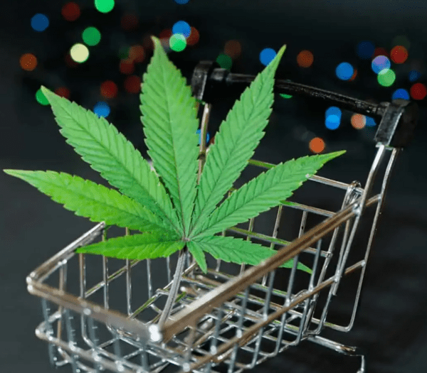 $60 FOR ALL PREMIUM STRAINS