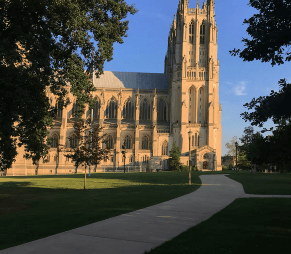 - 6 Oz A+ Flowers + 3 Oz Indoor Shake