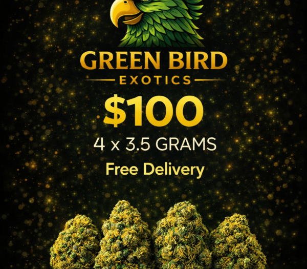 MIX & MATCH (Indoor Designer) 🍬 NO HUFF