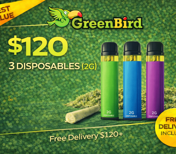 3 Disposables (2G) – $120 | DC Vape Deal